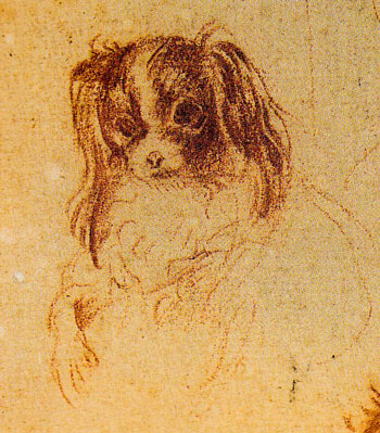 fig 10